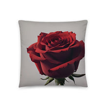 Load image into Gallery viewer, Free Shipping | Pillow